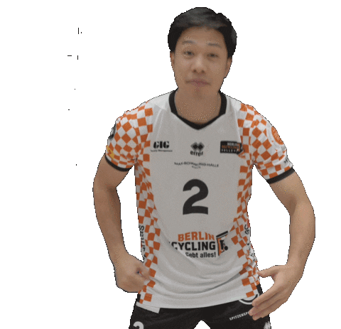 Volleyball Berlin Sticker by BR Volleys