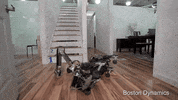 GIF by The Telegraph