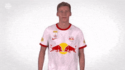 Lets Go Sport GIF by FC Red Bull Salzburg