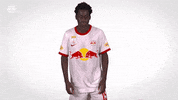 Red Bull What GIF by FC Red Bull Salzburg