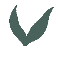 acendradaart nature green leaf leaves Sticker