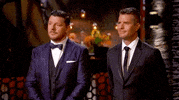 belly stomach GIF