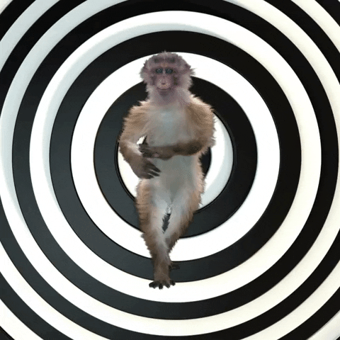 Happy Dance GIF
