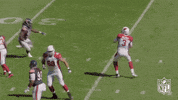 Arizona Cardinals Football GIF by NFL
