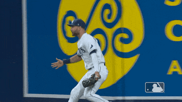 Tampa Bay Rays Sport GIF by MLB