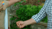 Ismail Demirci GIF by Show TV