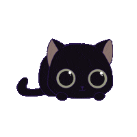 thecattomtom cat blackcat playtime tomtom Sticker