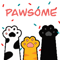 thecattomtom cat blackcat tomtom pawsome Sticker