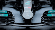 Formula 1 Sport GIF by Mercedes-AMG Petronas Formula One Team