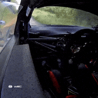Dashcam Drive Fast GIF by FIA World Rally Championship