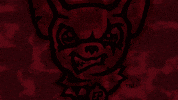 El Paso Win GIF by El Paso Chihuahuas