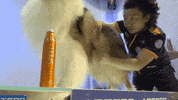 Dogs Stripping GIF by Artero Professional Line