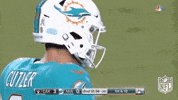 Miami Dolphins Football GIF by NFL