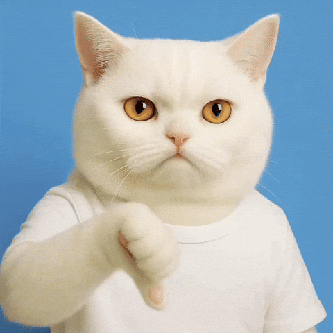 Cat Thumbs Down GIF