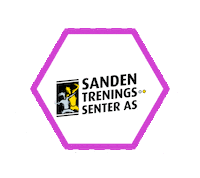 Sandenchristine2 Sticker by Sanden Treningssenter