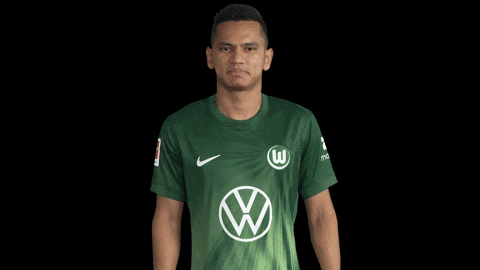 Bundesliga No GIF by VfL Wolfsburg