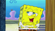 season 9 episode 13 GIF by SpongeBob SquarePants