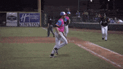GIF by Carolina Mudcats Baseball