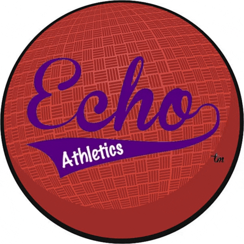 echoathletics giphygifmaker echo kickball echoathletics GIF