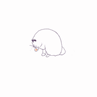 Cat Ragdoll GIF