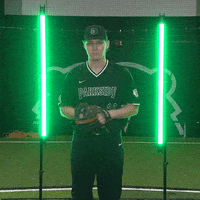 Parkside Baseball GIF by Parkside Athletics