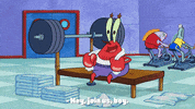 season 9 GIF by SpongeBob SquarePants