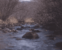 coffee tea GIF by Transgressive