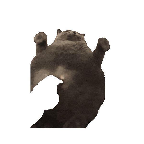 Founding Father Cat Sticker