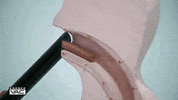 I Think You Should Leave Hot Dog GIF by NETFLIX