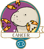 Fortune Teller Fun Sticker by Tostoini