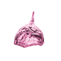 News Freedom Sticker by Friedrich-Naumann-Stiftung