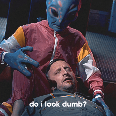 Do I Look Dumb?