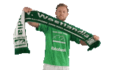 Knvb Beker Football Sticker by Westlandia