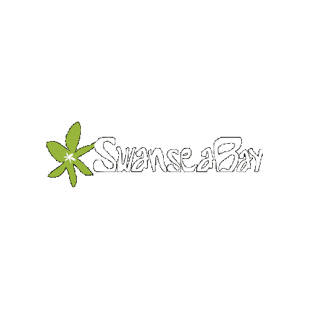 visitswanseabay wales welsh swansea abertawe Sticker