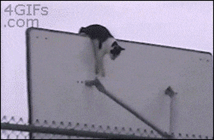 GIF by Demic
