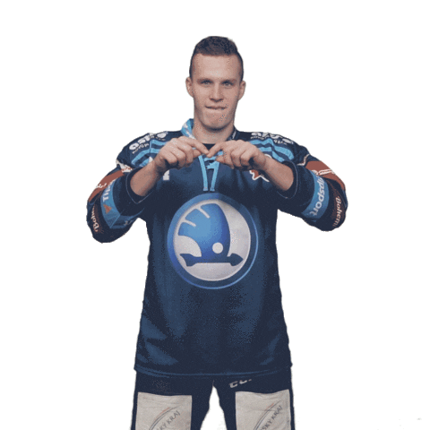 Heart Hockey Sticker by HC Škoda Plzeň