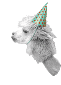 Happy Birthday Sticker by Aimara AG