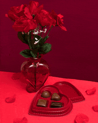 linneabullion chocolate valentines day single happy valentines day GIF