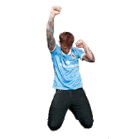 Celebration Fan Sticker by Sechzger Rudel