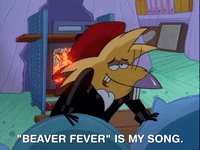 nickrewind nicksplat angry beavers GIF