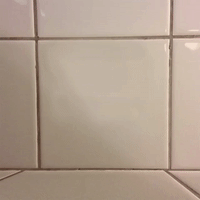 toilet paper poop GIF