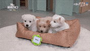 Moonspacedog GIF by erichamlet