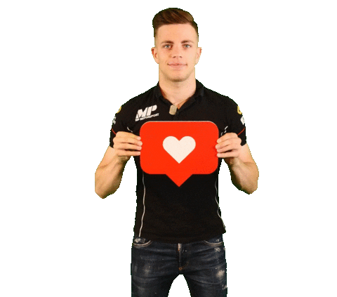 Racing Driver Sticker by Kas Haverkort