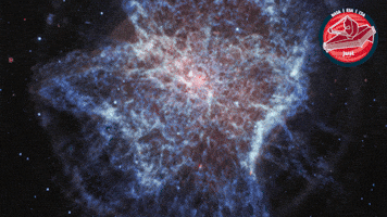 James Webb Nasa GIF by ESA Webb Space Telescope