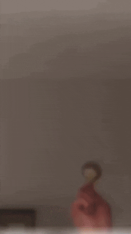 Cat Falling GIF