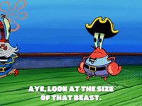 season 6 grandpappy the pirate GIF by SpongeBob SquarePants
