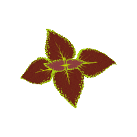 Flower Blomma Sticker by Edberg