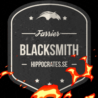 Blacksmith Farrier GIF by Hippocrates