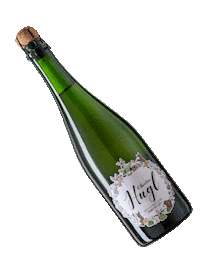 ChristinaHugl sekt sparklingwine austrianwine petnat Sticker