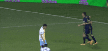 brotherly love celebration GIF by Philadelphia Union